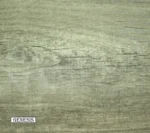 p 1745 GENESIS 53fc520253974