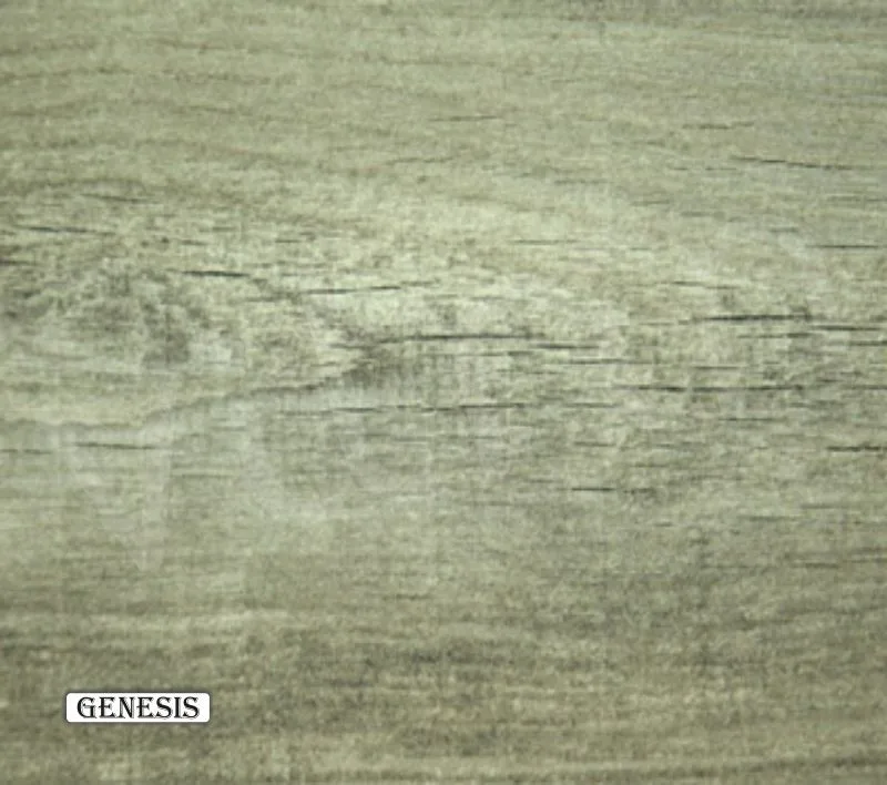 p 1745 GENESIS 53fc520253974