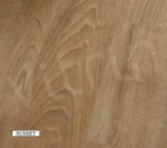 p 1760 SUNSET 53fc5b1dad388